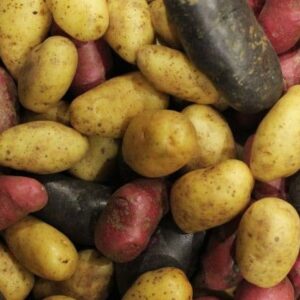 Potato/Yellow Fingerling