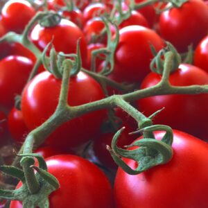 Tomato/Red