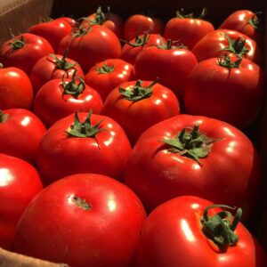 Tomato/Tomatillo