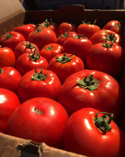 Tomato/Tomatillo