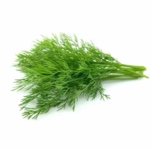 Dill USA