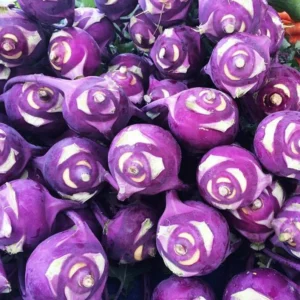 Kohlrabi/Purple
