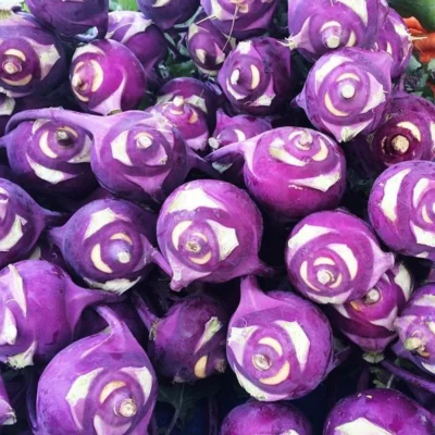 Kohlrabi/Purple