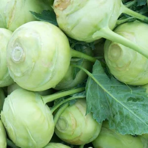 Kohlrabi