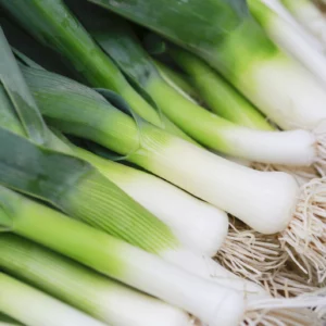 Leek