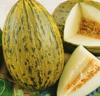 Melon/Piel de Sapo