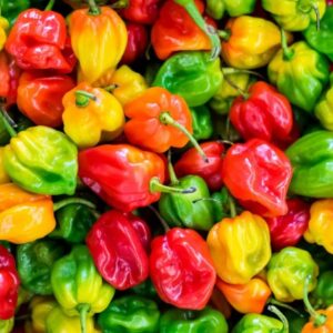 Pepper/Habanero